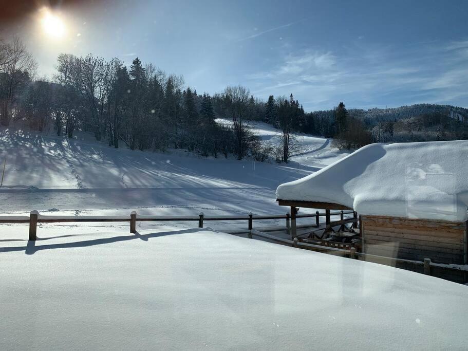 Appartement Spacieux Et Lumineux 115M2 Idealement Situe à Les Hopitaux-Neufs Extérieur photo